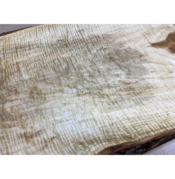 Клён Чёрный Явор, Волнистый заготовка корпуса Тангент АА Волна ААА 48х330-380х550 мм (Массив)-9