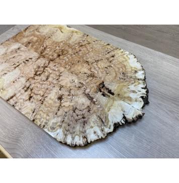 Тополь Белолистка Кап заготовка на топ под заливку Смешанный ААА 24х205-195х560-460 мм - 2шт.(книжкой)-3