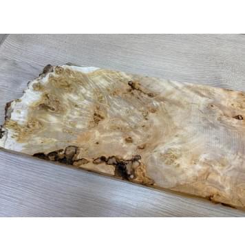 Тополь Белолистка Кап заготовка на топ под заливку Смешанный АА 28х193-188х550 мм - 1шт (под распил)-4