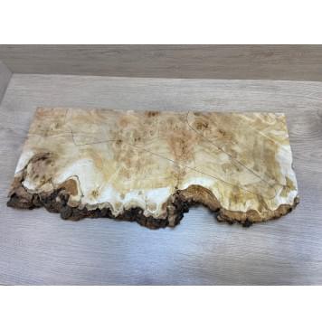 Тополь Белолистка Кап заготовка на топ под заливку Смешанный ААА 37х240-190х635 мм - 1шт (под распил) АКЦИЯ-2