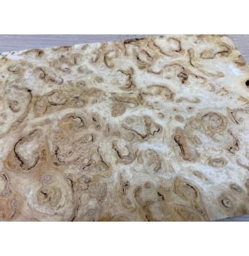 Тополь Белолистка Кап Универсальная заготовка Смешанный ААА 15х225-215х400 мм-5