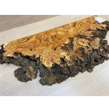 Тополь Белолистка Кап заготовка на топ под заливку Смешанный ААА 37х190-80х520 мм -  (цельный)-15