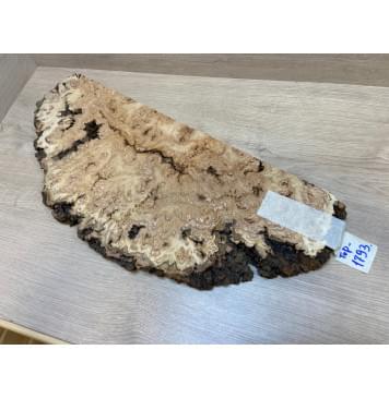 Тополь Белолистка Кап заготовка на топ под заливку Смешанный ААА 31х240-130х630 мм - (цельный)-3