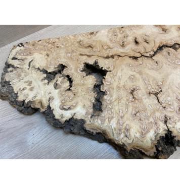 Тополь Белолистка Кап заготовка на топ под заливку Смешанный ААА 31х240-130х630 мм - (цельный)-5