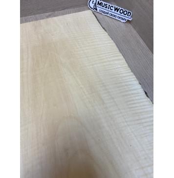 Клён Американский Spalted Волнистый заготовка корпуса Тангент АА Волна АА 48.5х285-235х490 мм (Массив) АКЦИЯ-5