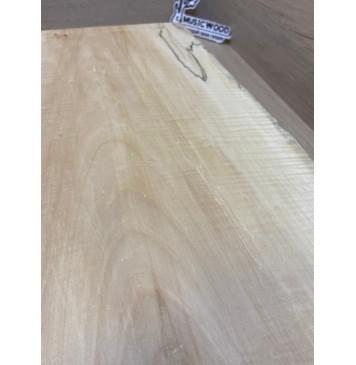 Клён Американский Spalted Волнистый заготовка корпуса Тангент АА Волна АА 48.5х285-235х490 мм (Массив) АКЦИЯ-7