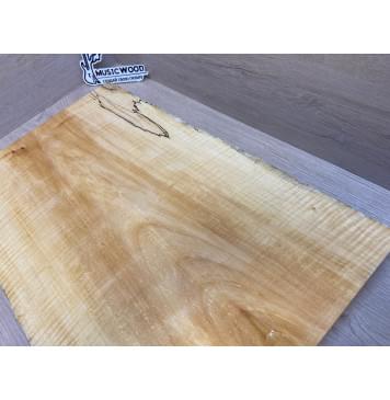 Клён Американский Spalted Волнистый заготовка корпуса Тангент АА Волна АА 48.5х285-235х490 мм (Массив) АКЦИЯ-18