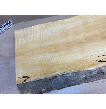 Клён Американский Spalted Волнистый заготовка корпуса Тангент АА Волна АА 48.5х285-235х490 мм (Массив) АКЦИЯ-23
