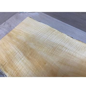 Клён Американский Spalted Волнистый заготовка корпуса Тангент АА Волна АА 48.5х285-235х490 мм (Массив) АКЦИЯ-19