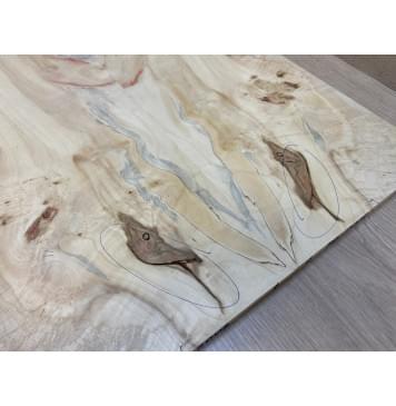 Клён Американский Каповый заготовка на топ Смешанный АА Кап АА 11х180х525 мм - 2 шт. (книжкой) АКЦИЯ-2