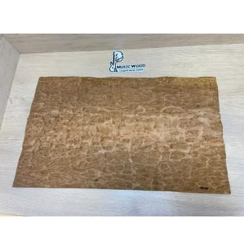 Эвкалипт Шпон 0,5х345х610 мм-5