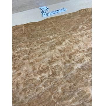 Эвкалипт Шпон 0,5х345х610 мм-1