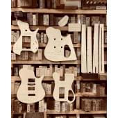 Kiesel Guitars Z2 6, НSH, 24 Frets, 25.5", + GUYKER WT002 Tremolo, полный комплект для фрезеровки гитары, фанера 8мм