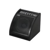 DS50 Монитор для электронной ударной установки, 50Вт, Soundking