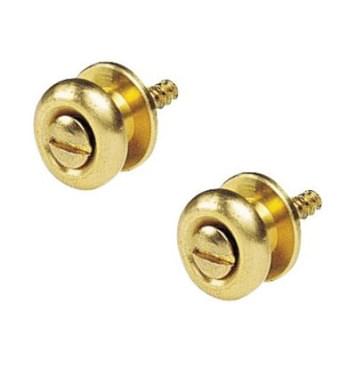 EP-2G Крепление ремня золотое [2] D'Andrea-0