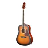 DG220BS Акустическая гитара Naranda