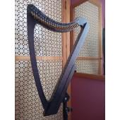 HLE3301Glenn Электроарфа леверсная, 33 струны, чехол, Мастерская Прохора Лапина