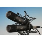 3192112 МК-319-Ч-С Микрофон универсальный конденсаторный, стереопара, черный,в карт. коробке, Октава