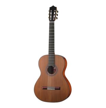 MC-48C Standard Series Классическая гитара, Martinez-0