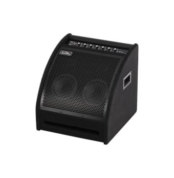 DS200 Монитор для электронной ударной установки, 200Вт, Soundking-0