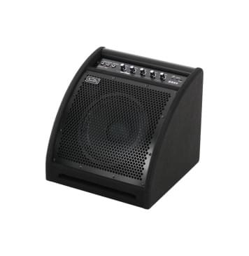 DS50 Монитор для электронной ударной установки, 50Вт, Soundking-0