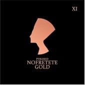 NOF11 Nofretete Комплект струн для электрогитары, никелированные, 11-48, Pyramid