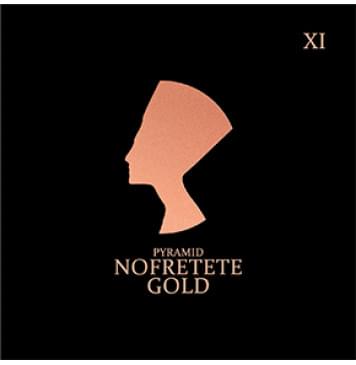 NOF11 Nofretete Комплект струн для электрогитары, никелированные, 11-48, Pyramid-0