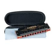 HH-2025 Professional Blues C Губная гармошка, Cascha